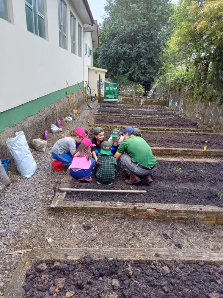 Escola de Turvo implementa Projeto “Plantando para o Futuro: Horta Escolar”