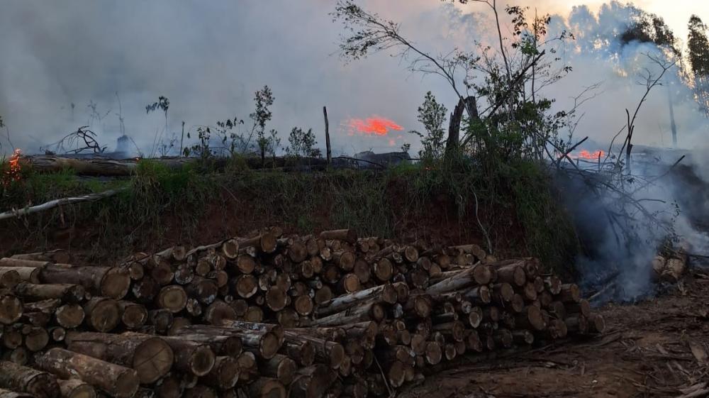 Incêndio florestal no Bairro Cooper, no município de Quilombo 