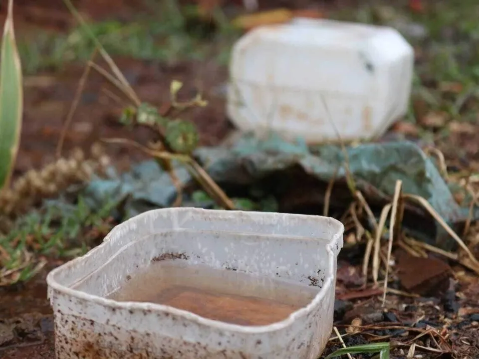 Projeto “Os Guardiões do Bairro” leva peça infantil itinerante de conscientização sobre dengue e meio ambiente a escolas públicas